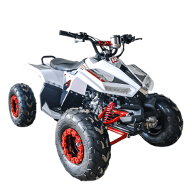 Gambol -  ATV Quad Bike 125cc Fully Automatic - Assorted -  GB-1200 - Toysuae.com