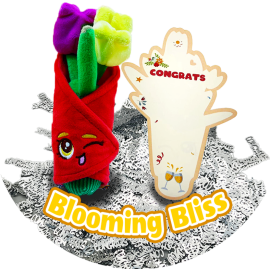 Soft Greetings - Congratulations - 1 Pc Assorted
