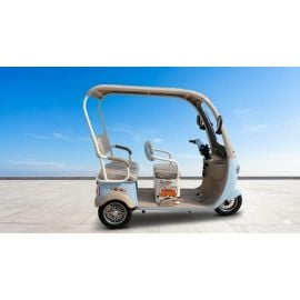 Gambol - D19 Electric 48V 20AH 3 wheel Trike - Assorted