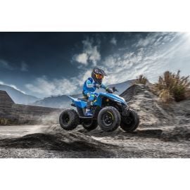 CFORCE - E110-P Powerful Electric ATV Quad Bike