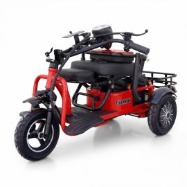 Gambol - Electric Three wheel Motorcycle 48V 12AH with kids seat