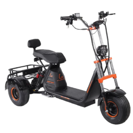 Kugoo - C4 three-wheeled Harley electric scooter 48V 20Ah 800W -  GB-C4-00 - Toysuae.com