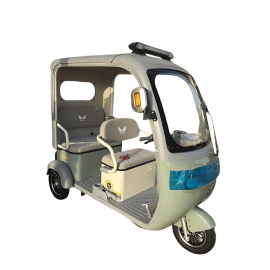 Gambol - Urban roof 60v20ah Electric Tricycle - Assorted - GB-TRIKE-60V - Toysuae.com