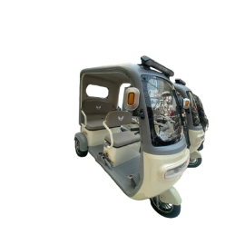 Gambol - 60V 3 Wheel Electric Tricycle  - Assorted
