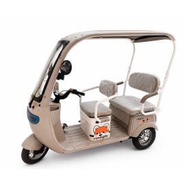 Gambol - D19 Electric 48V 20AH 3 wheel Trike - Assorted