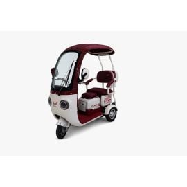 Gambol - 48V 20Ah Electric Tricycle Tuk Tuk - Assorted