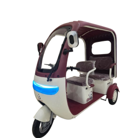 Gambol - Urban roof 60V 20AH Electric Tricycle 3 Seater - Assorted  -  GB-TRIKE-3S - Toysuae.com
