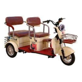 Gambol - 48V 20AH Three Wheel Electric Scooter