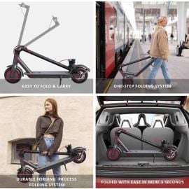 Gambol - Windhorse T1 Electric Scooter 36V 8Ah 350W