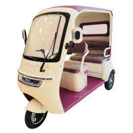 Gambol - 1200 Watt Powerful Troya Pro 3 Wheel Ceiling Electric Bike - Assorted -  GB-pro3 - Toysuae.com