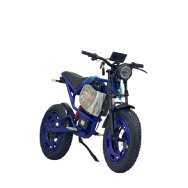 Gambol - Aster X9 Electric Dirt Bike 48V 20Ah Off-Road Bike -  GB-X9-48V - Toysuae.com