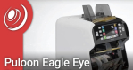 Puloon Eagle