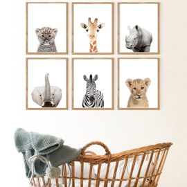 Set of 6 - Animal Safari Wall Art Prints