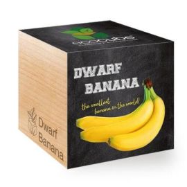 Eco Cubes Wooden Grow Kits Dwarf banana