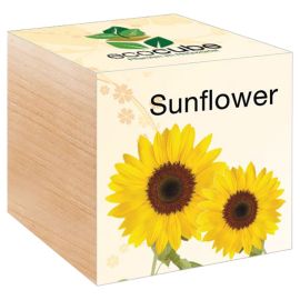 Eco Cube - Herb-Mix - Sunflower