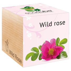 Eco Cube - Herb-Mix - Wild Rose