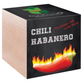 Eco Cube - Trend-Mix - Chili Habanero