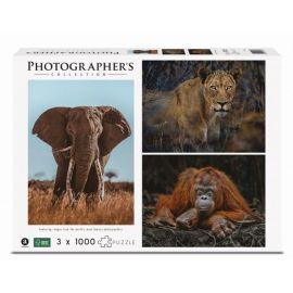 Photographer's Collection - Donal James Boyd Tri-pack #2 - 1000 pcs ea