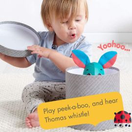 Tiny Love Wonder Buddy Thomas Rabbit, Interactive Electronic Baby Learning & Development
